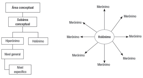 Relaciones semánticas: Definición, tipos, ejemplos y ejercicios